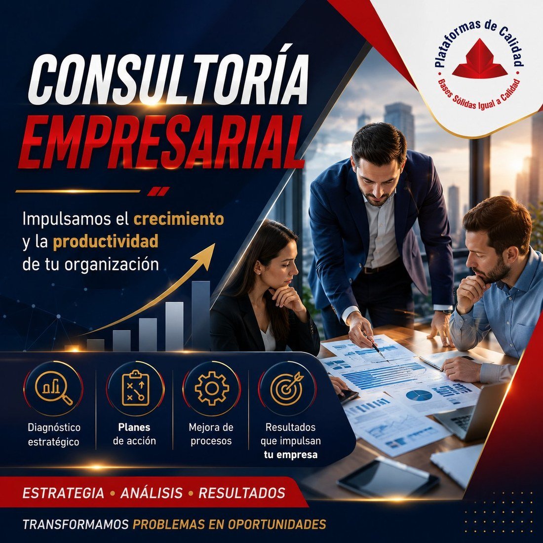Ficha del servicio de consultoría empresarial